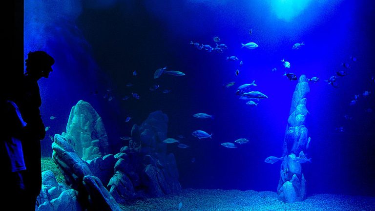 Cala Gonone Nuoro 2 1024x576