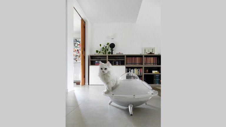 Cats House 1 1 1024x576