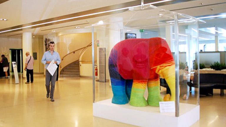 Elephant 1024x576