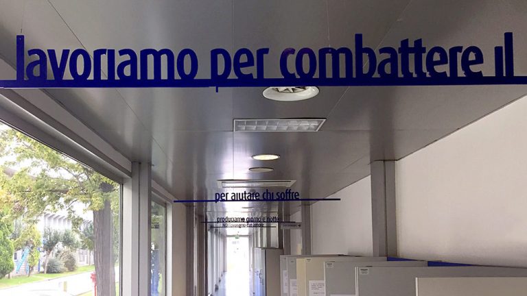FAO 1024x576