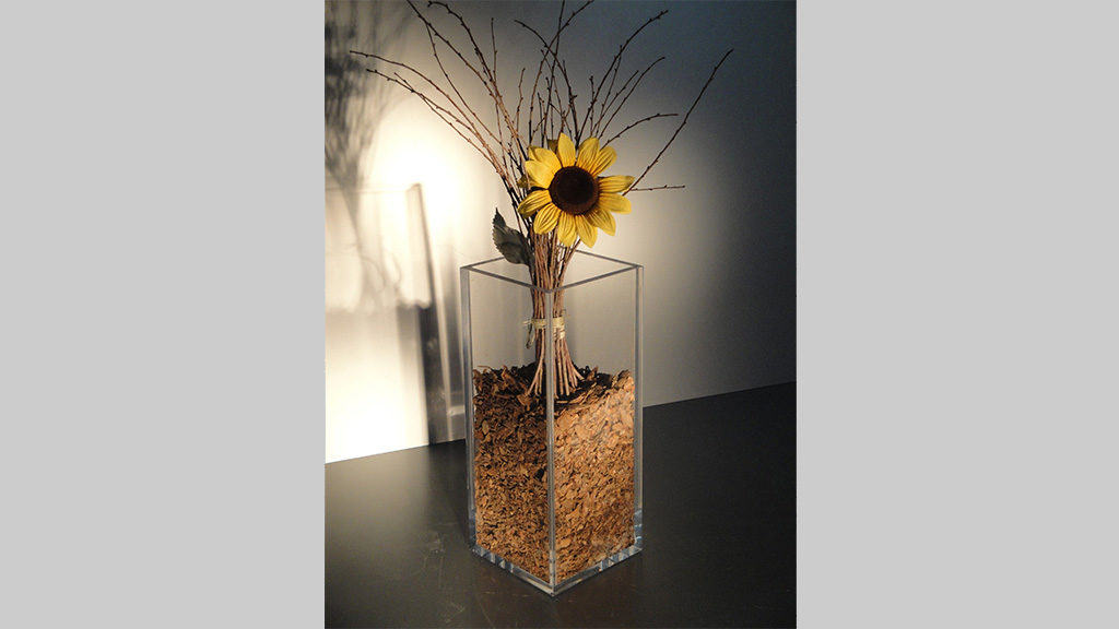 Vaso Cube 2 1 1024x576
