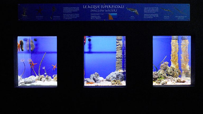 Acquario di Livorno 1024x576