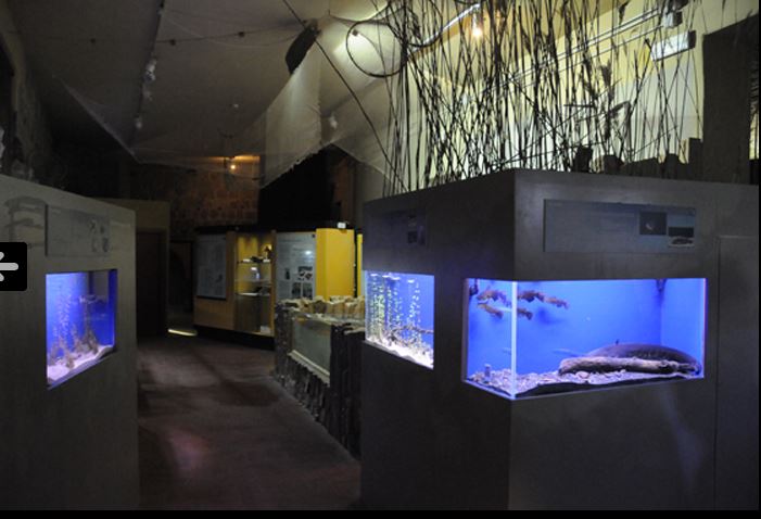 Acquario di Genova